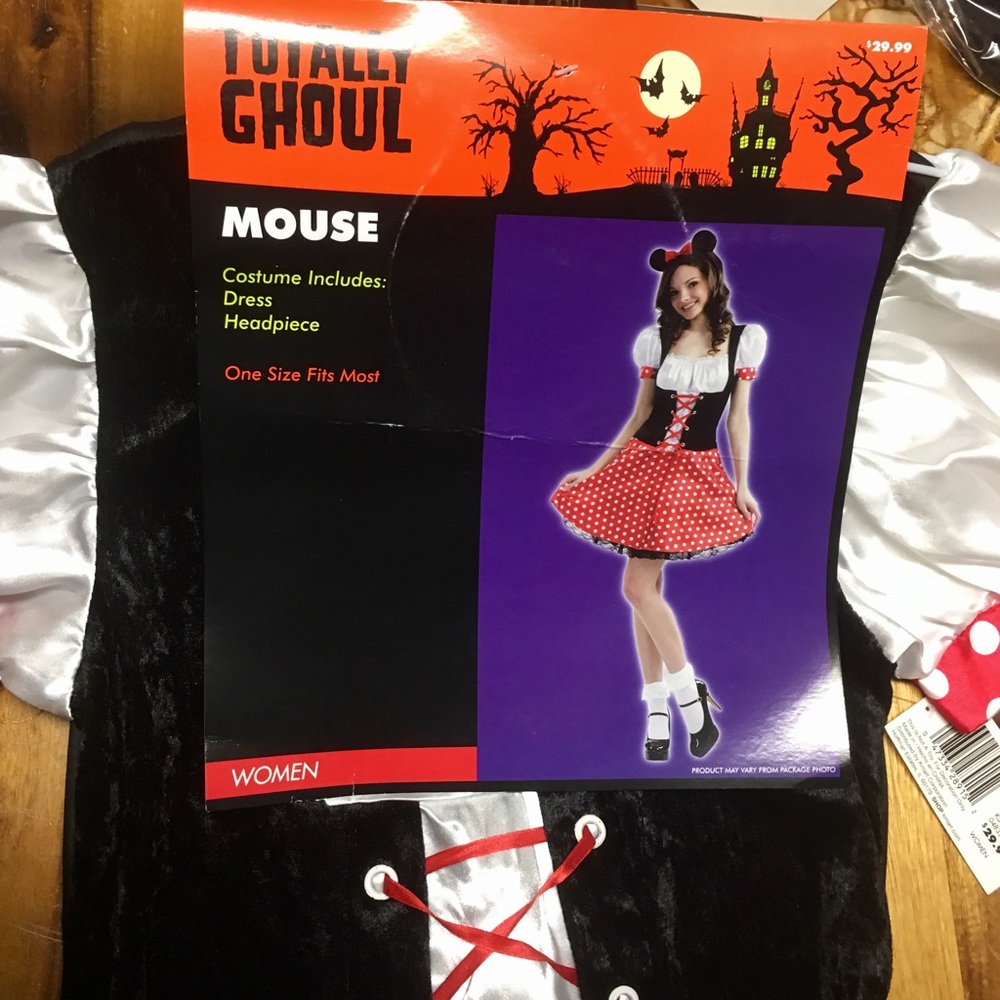 Brand New Mouse Costume